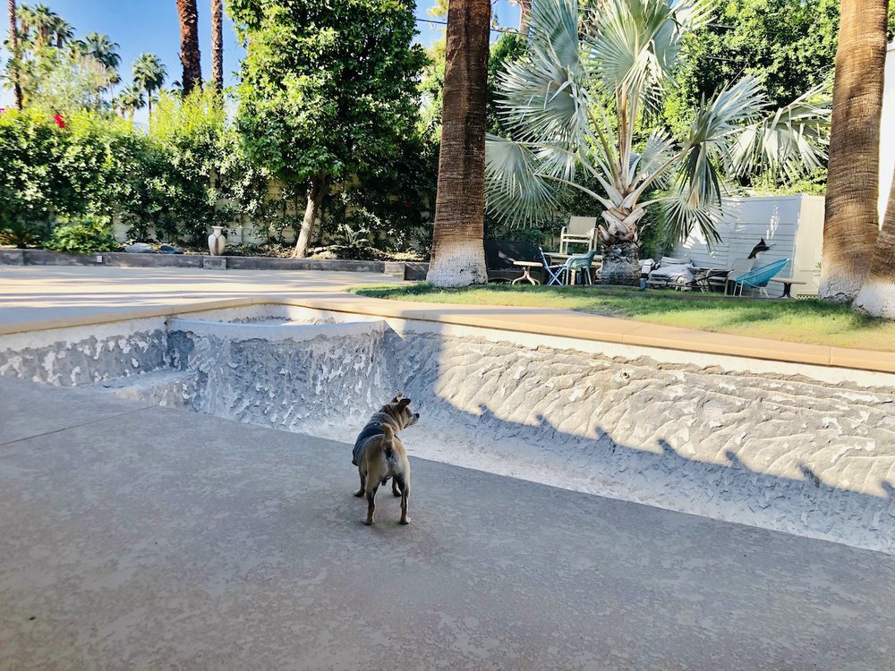 Excel Flooring & More Concrete Restoration