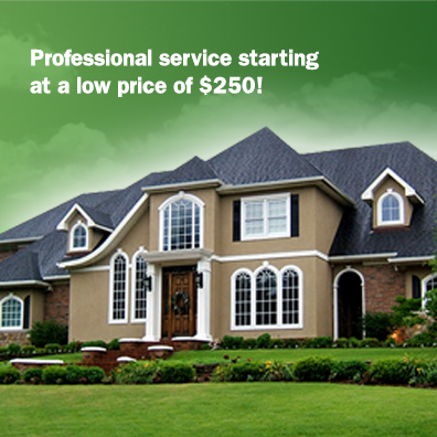 The Home Inspectors
