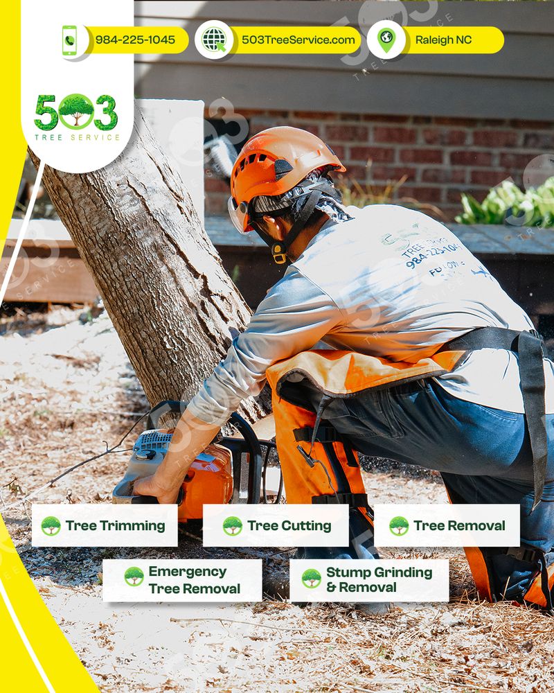 503 Tree Service