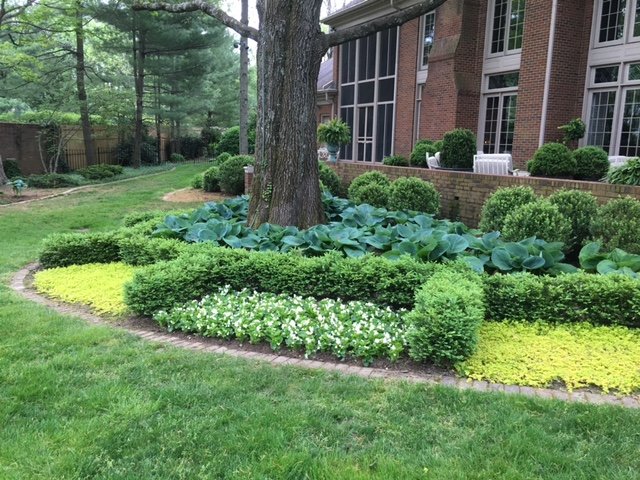 Landscape Design After Maturity. - Yelp Photo of Handyman Connection of Lexington - Lexington, KY, United States. Landscape design - Landscape Design After Maturity. - Yelp
