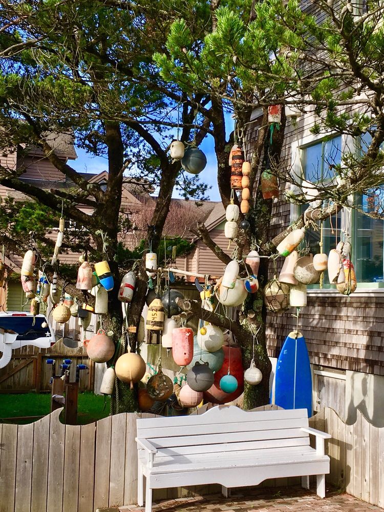 Cannon Beach Surf & Mercatile 10 Reviews Surf Shop 1088 S Hemlock