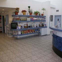 Creature Comforts Animal Hospital 24 Photos 54 Reviews Vets