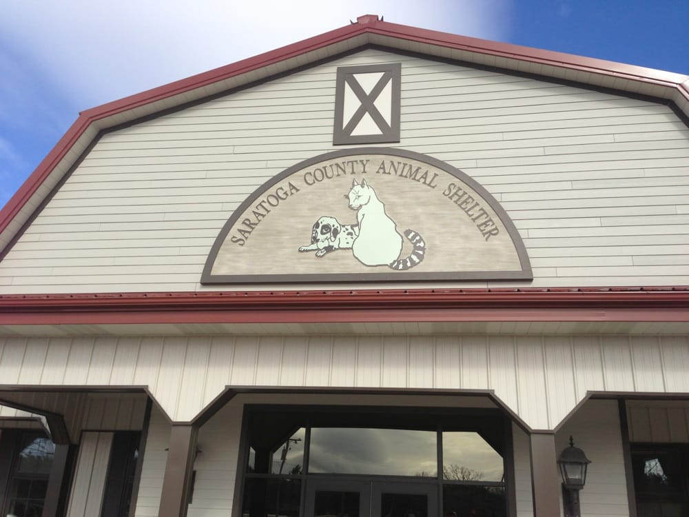 Saratoga County Animal Shelter Animal Shelters 6010 County Farm Rd