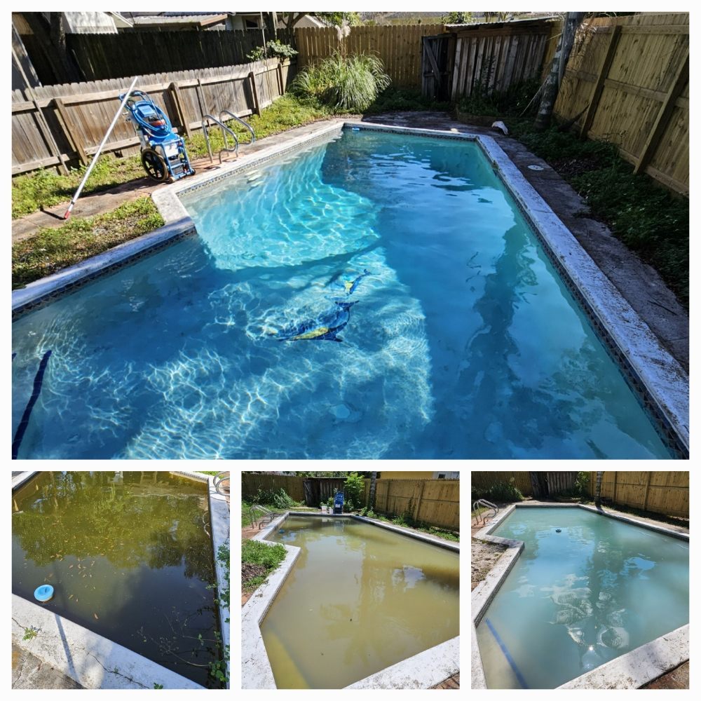 Bluebird Pools