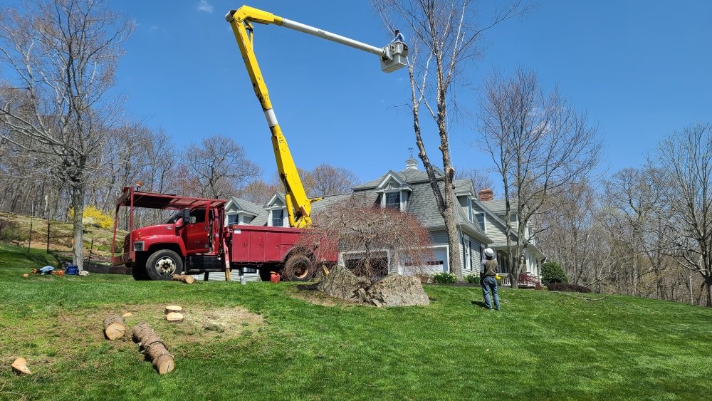 VS Landscaping