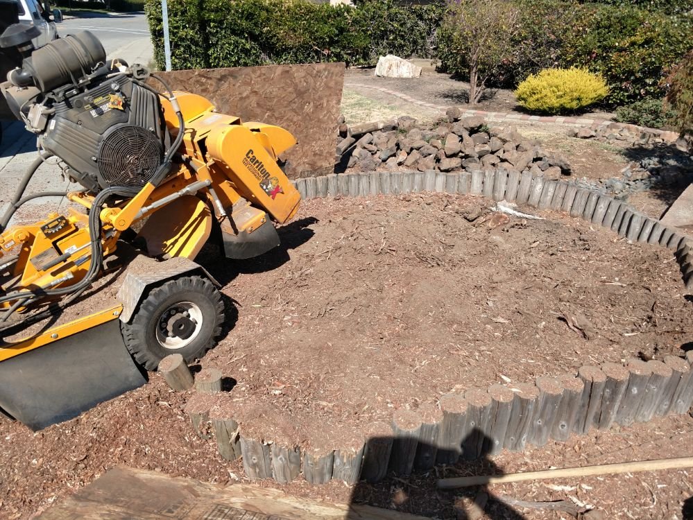Bay Area Stump Busters