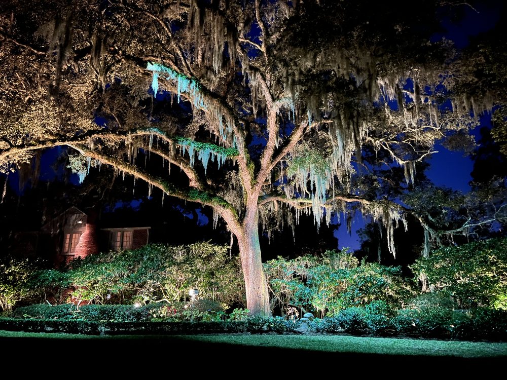 Lucarelli Outdoor Lighting