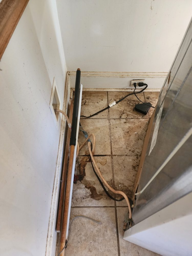 Santiago Pristine Maid Services