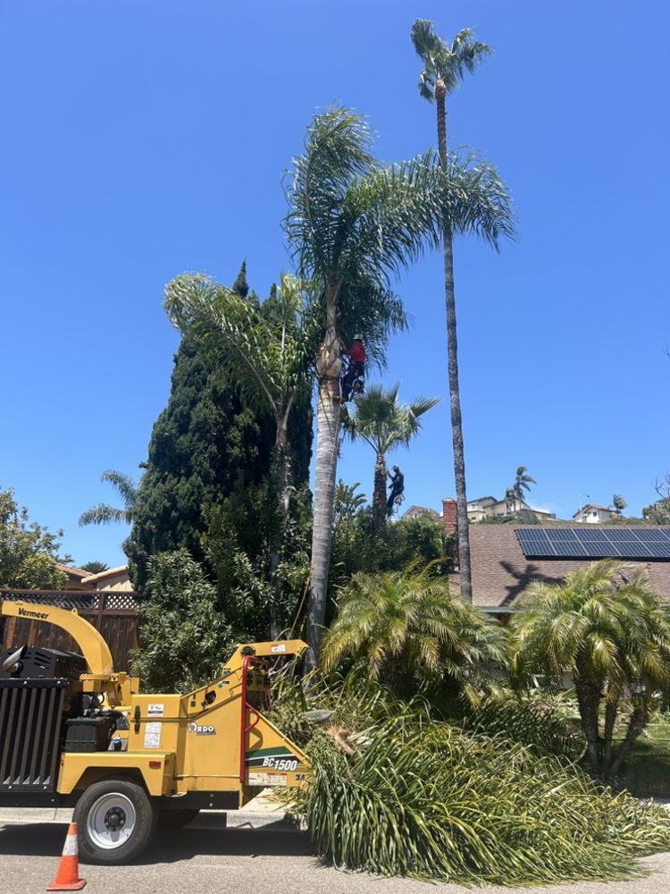 Go Green Tree Service 