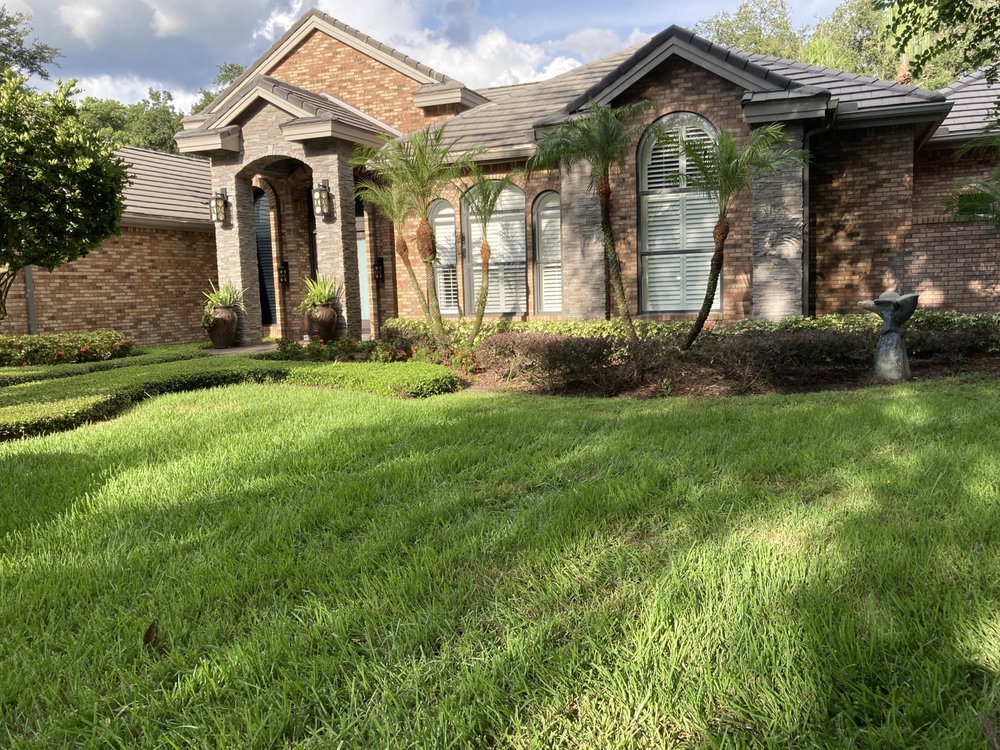 Dwayne Wilson's Tree Service