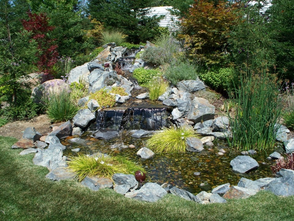 Kaylor Landscape