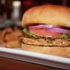 Best Burgers in Tampa