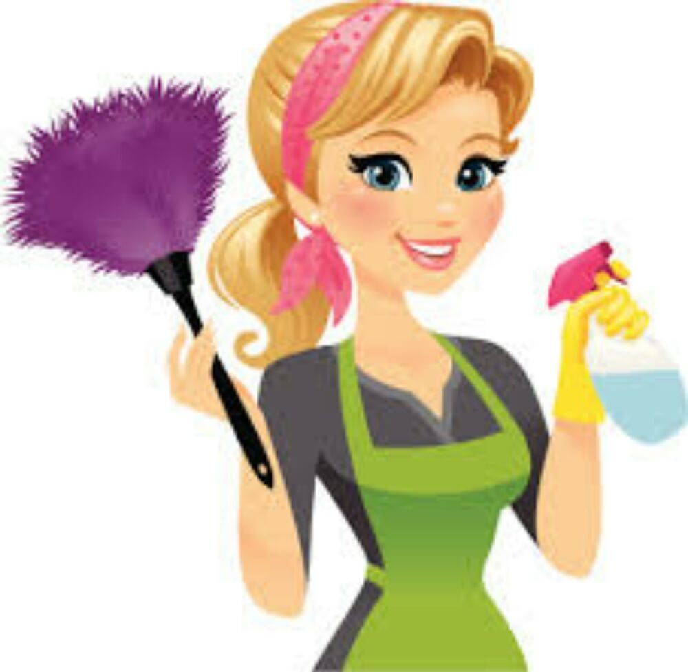 Elaine's Cleaning Services