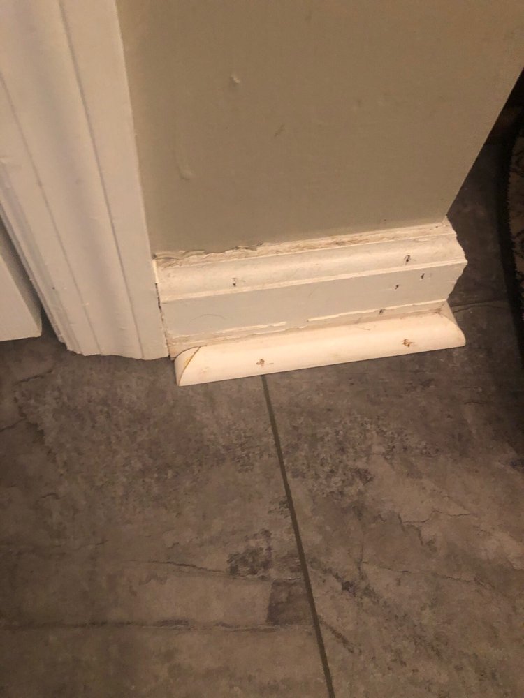 Lowe's Home Improvement