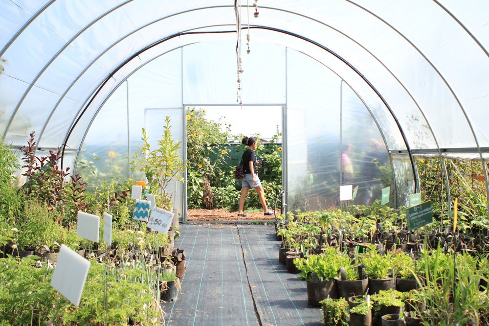 Sarvodaya Farms and Nursery