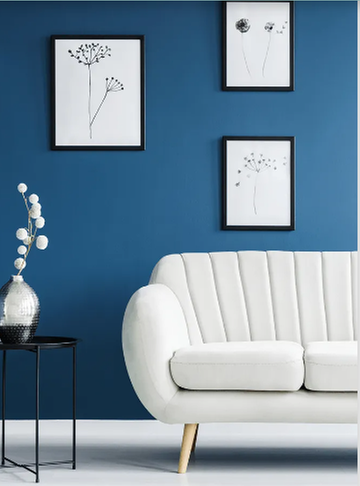 image of business Bert