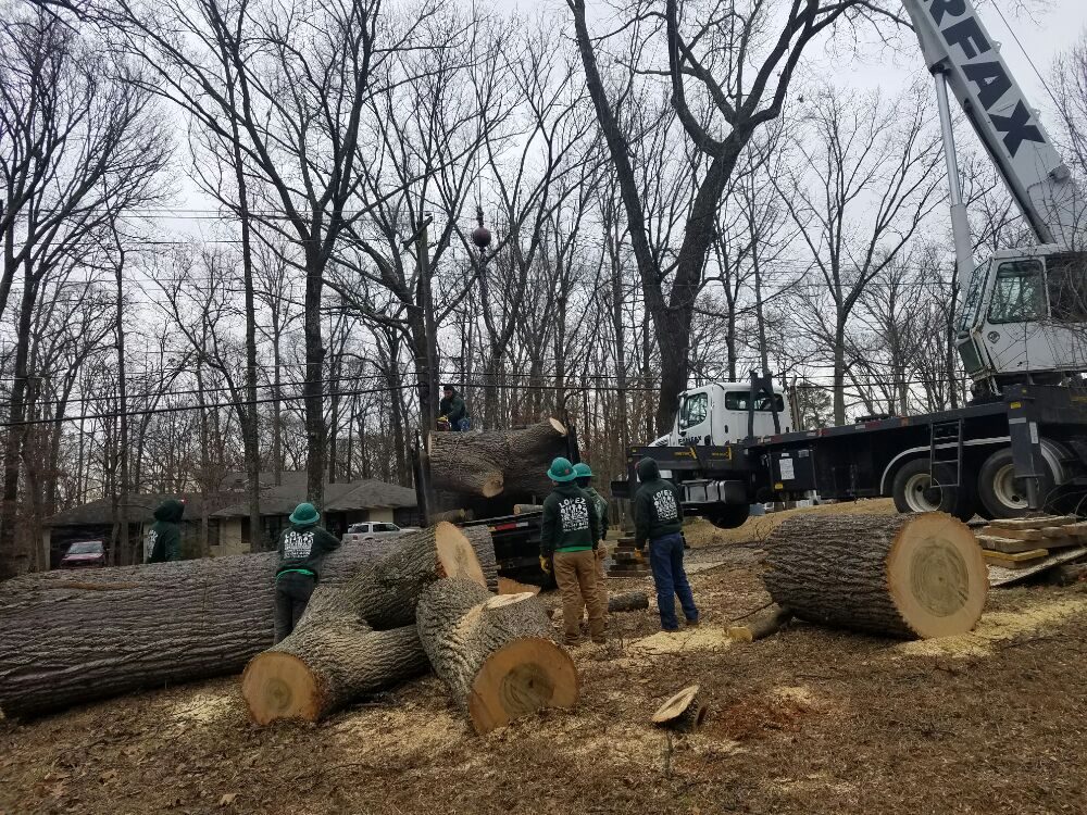 Lopez Tree Services
