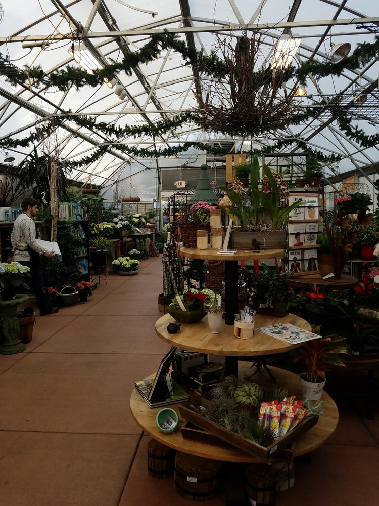 Very Beautiful Indoor Plants With Nice Variety Yelp Photo Of Cornell Farm Portland Or United States Very Beautiful Indoor Plants
