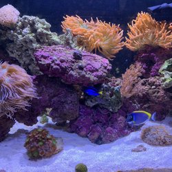 mk aquarium services 78