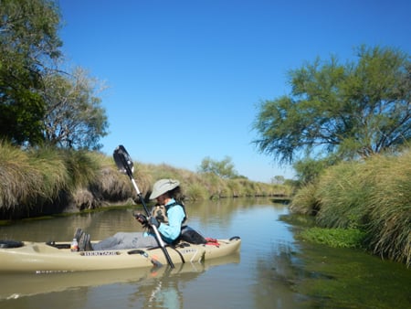 Arroyo Environmental Consultants