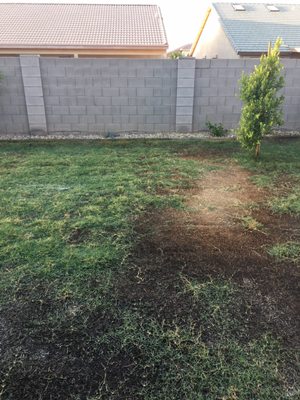 Gothic Landscaping 2526 E Southern Ave Phoenix Az