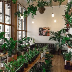 Babygreens Nurseries Gardening 1201 Cornwall Ave Bellingham Babygreens Nurseries Gardening 1201 Cornwall Ave Bellingham Wa Last Updated December 16 2018 Yelp