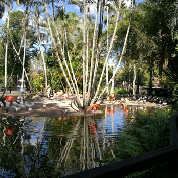 Flamingo Gardens - 757 Photos & 124 Reviews - Botanical Gardens - 3750