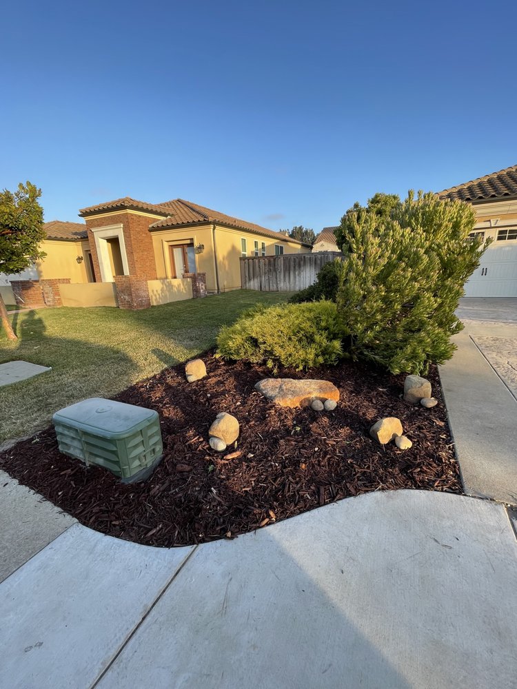 Alvarado Landscape Maintenance