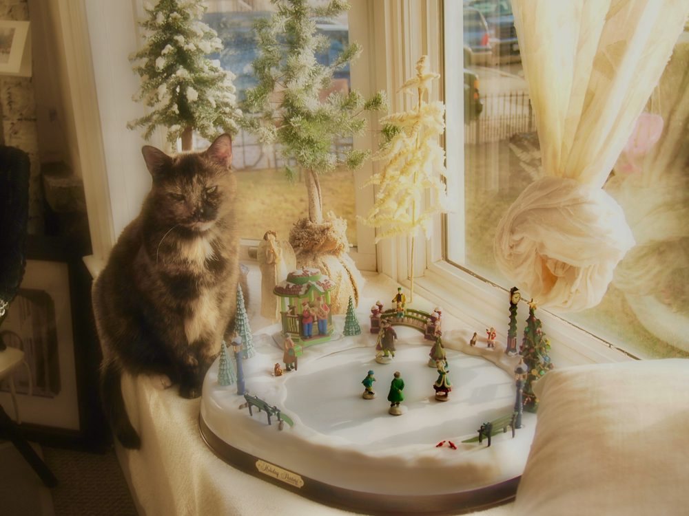 The Kindness Animal Hospital Image