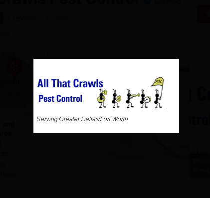 All That Crawls Pest Control