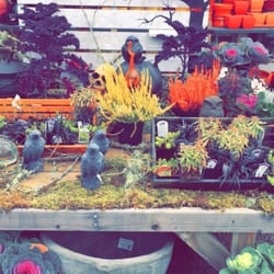 Garden Spot Nursery - 16 Photos - Nurseries & Gardening - 900 Alabama