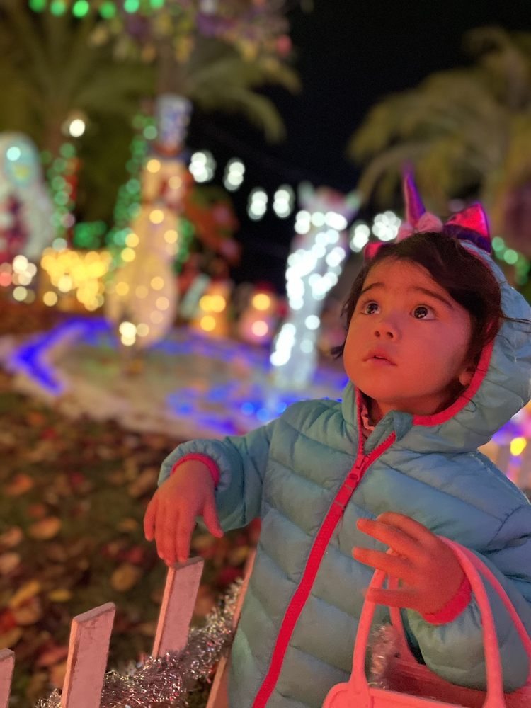 Carlsbad Christmas House