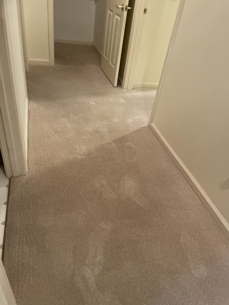 Gavin's Carpet Care