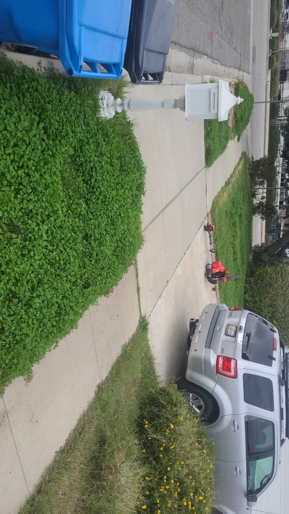 Norm's Not So Normal Yard Care