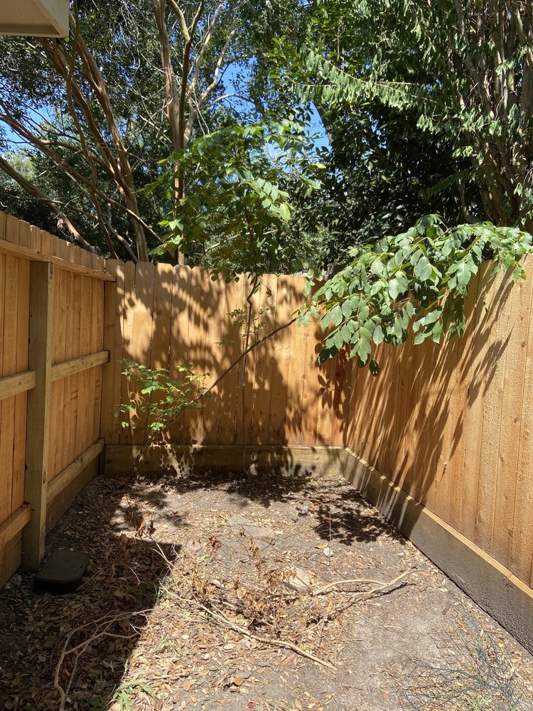 Affordable Tree Service By Martin Spoonemore