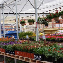 Green Acres Nursery Supply 110 Photos 80 Reviews Nurseries Photo Of Green Acres Nursery Supply Folsom Ca United States Our