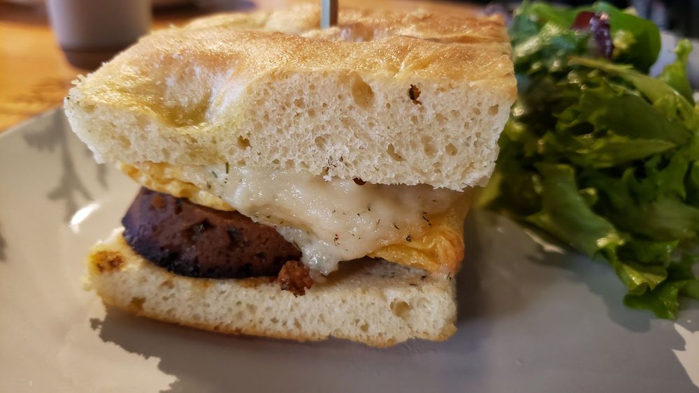 Silver Fern Silver Fern