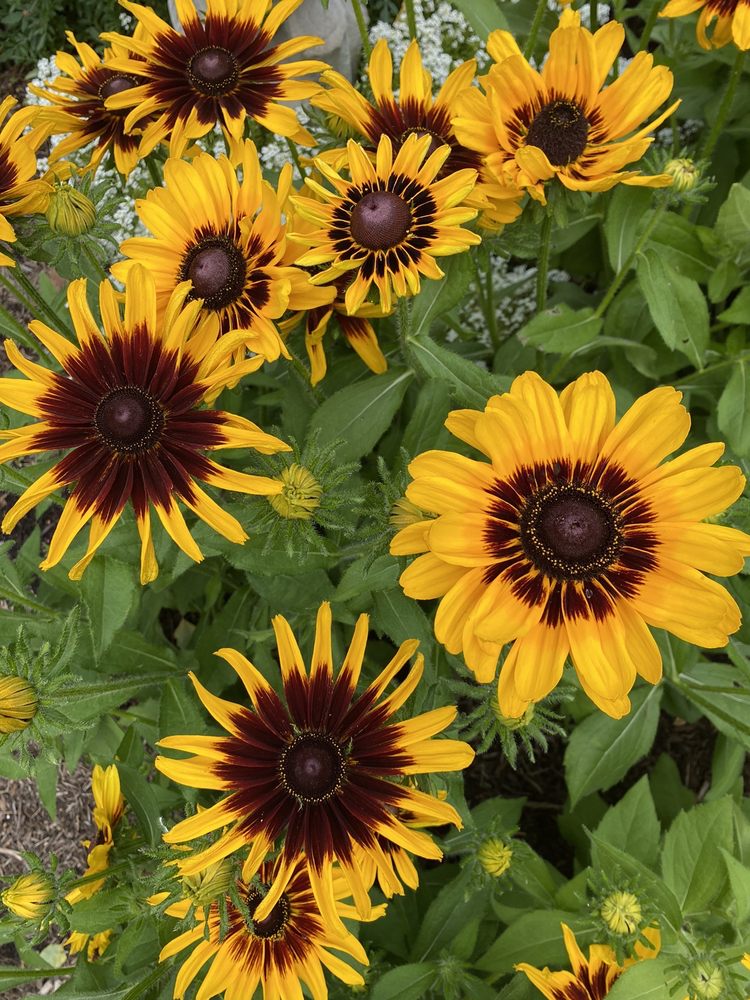 Cutler Botanic Garden