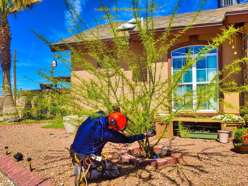 Danny G Yard Care and Tree Care
