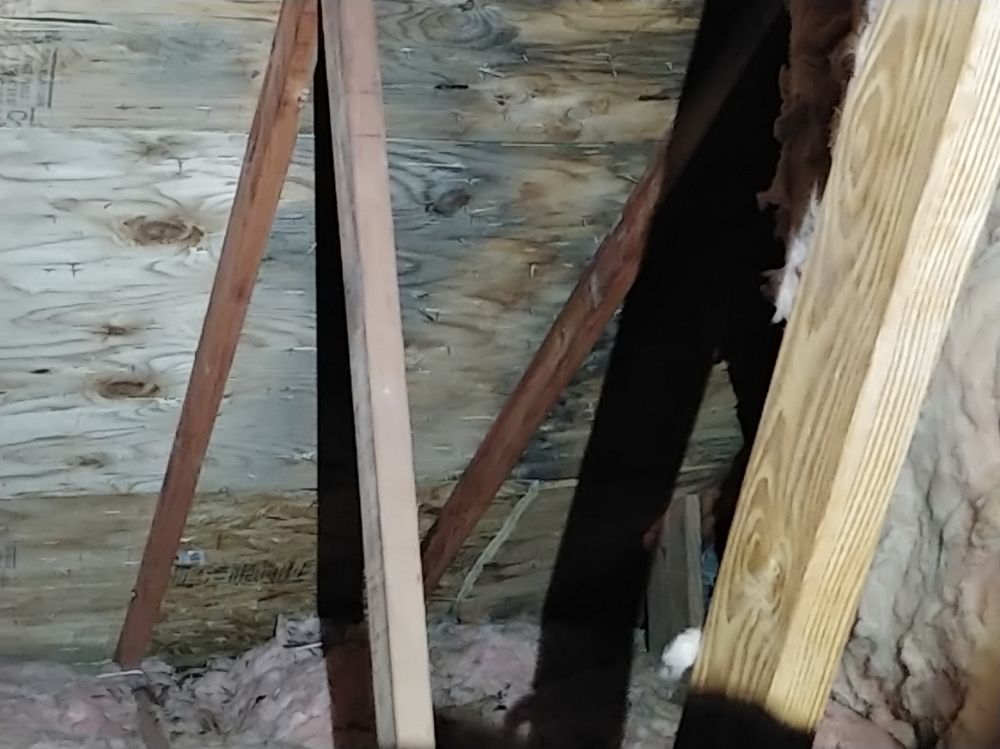 Pineywoods Inspections