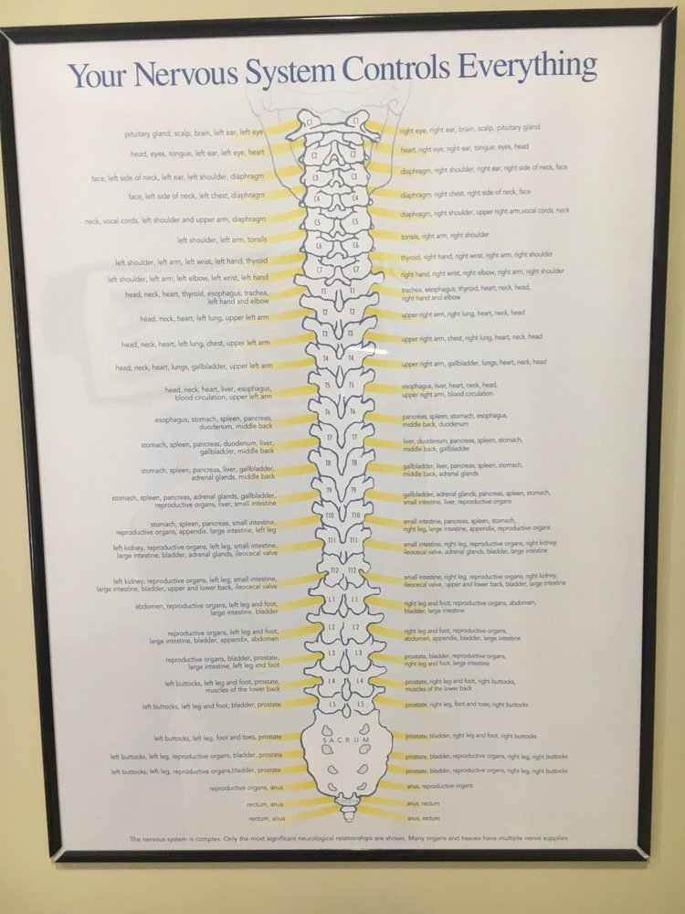 DiBella Chiropractic Center