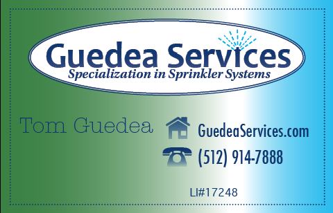 Guedea Services