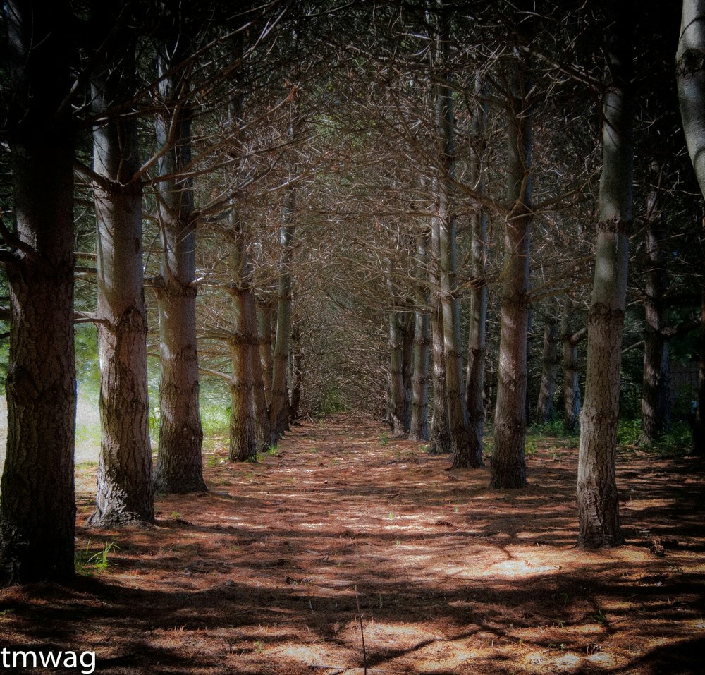 Burr Oak Woods Conservation Nature Center Hiking 1401 NW Park Rd