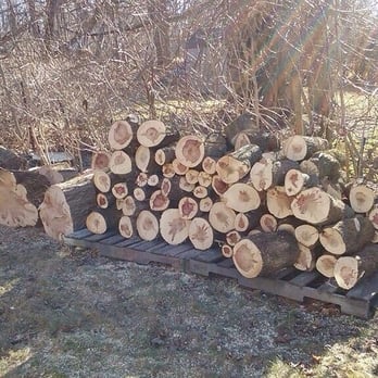 Johnson S Tree Service 15 Photos Services 1361 Rte 52 Photo Of Johnson S Tree Service Carmel Ny United States