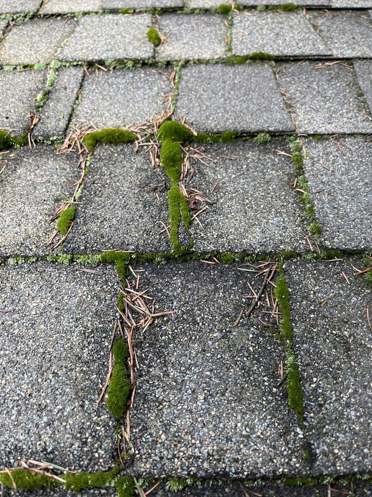 Pacific Clear Window Solutions