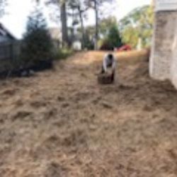 Hight S Helping Hands Lawn Care Get Quote 10 Photos Photo Of Hight S Helping Hands Lawn Care Lithonia Ga United States Seeding
