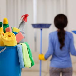 Eco Friendly Carpet Cleaning Alexandria Fairfax Arlington Va Dc Oxi Fresh Carpet Cleaning