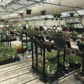 Half Moon Bay Nursery 275 Photos 170 Reviews Nurseries Photo Of Half Moon Bay Nursery Ca United States
