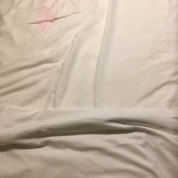Comfort Inn Maingate 88 Foto S 53 Reviews Hotels 7675 W