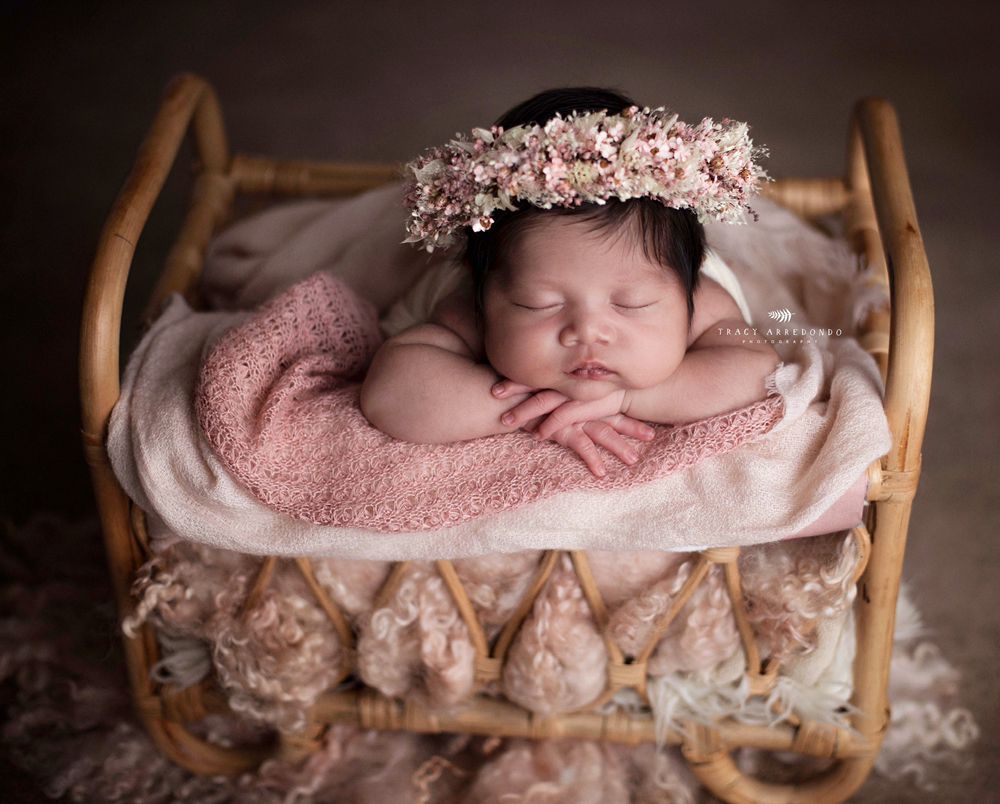 Tracy Arredondo Photography